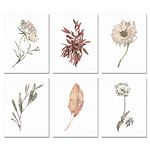 Boho Poster Prints Plant Art Wall Decor, 8x10 Canvas Prints Unframed Set of 6, Plant Posters Aesthetic for Bedroom