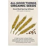 Hard Red Spring Wheat Seeds - Pack 