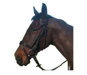 Cameo Padded Flash Bridle - Pony, Black