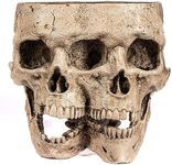 Kobi & Knight Skull Planter Pot for