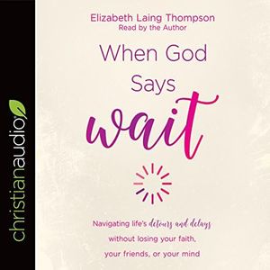 When God Says "Wait": Navigating Life's Detours and Delays Without Losing Your Faith, Your Friends, or Your Mind