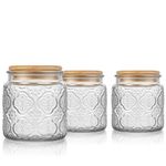 Danmu Art Tea Coffee Sugar Canisters Sets Glass Jars with Lids Set of 3 Glass Airtight Storage Jars with Bamboo Lids (Begonia, 500ml)