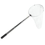 Net With Telescoping Handles