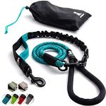 Heavy Duty Rope Leash for Large and Medium Dogs with Anti-Pull Bungee for Shock Absorption - No Slip Reflective Leash for Outside – Suitable for Dog Training and Walking (Teal, for 1 Dog)