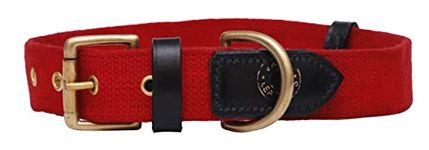 Vama Leathers Sustainable & Eco Friendly Material Dog Collar 100% Cotton Canvas with Sturdy Solid Brass Buckle. Hand Made Color- Red, Size- Large, Suitable for Neck Sizes 20-25 Inch, Width 1.25 Inch.