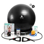 ENOVI Fit+ Ball Chair, Yoga Ball Exercise Ball with Adjustable Resistance Bands and Stand Base, Home Gym Workout Set, Stability Ball & Balance Ball Seat to Relieve Back Pain, 65cm, BA