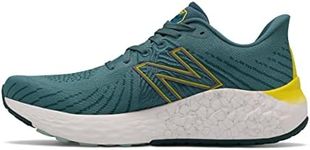 New Balance Fresh Foam Vongo V5 Running Shoes Blue