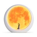 mamre Moon Mood Lamp Unique Anniversary Marriage Valentines Day Gift Ideas Art Decoration, White Holy Wedding Under Full Moon