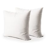 EDOW Throw Pillow Insert, set of 2 Hypoallergenic Down Alternative Polyester Square Form Decorative Pillow, Cushion,Sham Stuffer,18 x 18 inches.