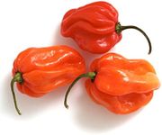 Fresh Scotch Bonnet Peppers 100g - 