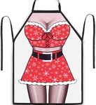 BIKBOK Funny Apron for Women and Men, Cute Kitchen Apron as Gag Gifts for Adults, Friends, Girlfriend, Boyfriend and Birthday Gifts (Santa Claus Female)