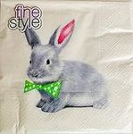 40-ct 13x13 Little Bunny with Tie N