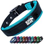 Black Rhino - The Comfort Collar - Dog Collar for All Breeds - Ultra Soft Neoprene Padded Collar, Sturdy, Adjustable, Reflective and Weather Resistant, Large, Sports Blue/Black