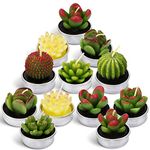 LA BELLEFÉE Cactus Tea Lights Candles, Terrarium Candle Gift Set for Mothers Day Gifts, Smokeless Handmade Cute Gifts Candles for Home Scented Birthday Wedding Props House Warming Party (12 Packs)