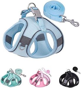 Solmoony Dog Harness for Small Medium Large Dogs No Pull, Puppy Harness and Leash Set, Puppy Harness for Small Dogs, Step in Harness for Small Dogs, Small Dog Harness, mesh Dog Harness. (Bule, S)