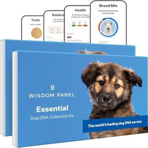 Wisdom Pan