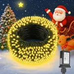 Extra Long 264Ft 800 LED Christmas