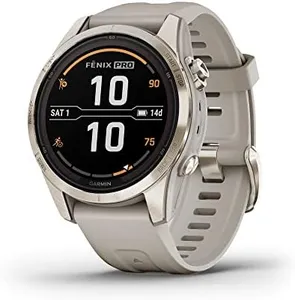 Garmin fēn