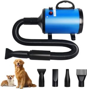 Dog Hair D