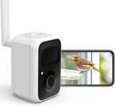 NETVUE Birdfy- Smart Bird Watching 