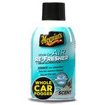 Remove Car Odors