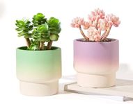 4 Inch Plant Pots Indoor with Drain