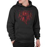 Junk Food Unisex's Atlanta Falcons Team Spotlight Adult Fleece Hoodie Hooded Sweatshirt, Black, XL