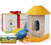 Dzees Smart Bird Feeder with Camera, 32G Card, AI Identify Birds Species, Capture Bird Video, Instant Notifications, Live View, 2K Video Bird Feeder Solar Powered, Ideal Gifts for Bird Lovers