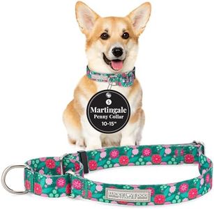 Lucky Love Dog Martingale Dog Collar - Adjustable, No-Slip, Durable, & Soft Webbing Dog Collar for Male and Female Dogs Ideal for Training & Walking - Penny, Small