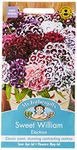 Mr Fothergill?s Seeds Ltd 20756 Mr Fothergill's Sweet William Electron, Mixed