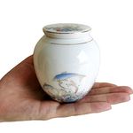 Urns For Ashes For Adults