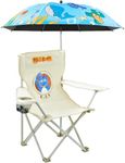 BUSYSIR Kids Beach Folding Camping Chair - Kids Camping Chair with Outdoor Umbrella - Lightweight and Sturdy - for Beach Outdoor Camping Picnic (Blue)