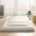 Futon Mattress Queen Size