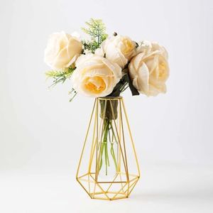 Gold Vase for Home Decor with Metal Frame,Clear Glass Test Tube Vases Decorative for Wedding Decoration Table Flower Decoration Interior Decoration Living Room Decoration(Gold)