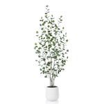 Laiwot Artificial Eucalyptus Tree, 6ft Tall Fake Silk Plants for Indoor Home Decor, Large Faux Eucalyptus Tree with 10.5 in White Planter for Office Home Living Room Decor, 1 Pack
