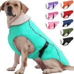 EMUST Winter Dog Jacket, Windproof Dog Apparel for Cold Weather, Reflective Winter Coats for Dogs, Warm Puppy Jacket for Cold Winter, Turquoise, S