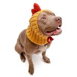 Zoo Snoods Rooster Costume - Knit Chicken Dog Snood Ear Wrap for Pets, Warm Neck Cover for Halloween and Winter (Large)