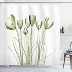 Ambesonne Flower Shower Curtain, X-ray Image of Tulips Solarized Effect Nature Inspired Illustration, Cloth Fabric Bathroom Decor Set with Hooks, 69" W x 84" L, Pale Green