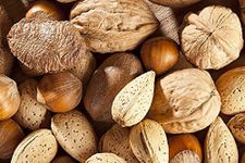 Mixed Nuts in Shell (500 g) - Walnuts, Hazelnuts, Pecans, Almonds - Nutritious Vegan Keto Paleo Gluten-Free Snack - Freshly Packed, High in Protein and Fiber – Used in Baking, Cooking, Salad Toppings