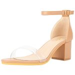 ZriEy Women's Strappy Chunky Low Heeled Sandals 2 Inch Open Toe Block Heels Ankle Strap Adjustable Buckle Lucite Block High Heel Shoes, Nude Clear, 5