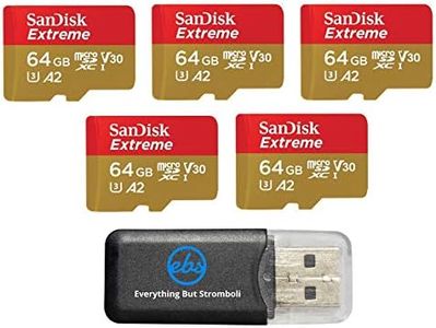 SanDisk Ex