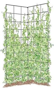 Gardeners 