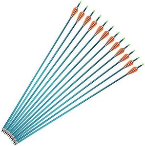 30Inch Archery Aluminum Arrows Target Practice Hunting Arrows Spine 500 with Removable Tips for Compound & Recurve Bow(Pack of 12) (Blue Shaft)