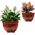 PLANTORI Ceramic Planters for Indoor and Outdoor Plants-2 Sets of Big Size Pots with Drainage Holes for Bonsai, Artificial Flowers, Succulents, Home, Garden, Balcony and Office Décor (Maroon Red)