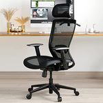 Mesh Office Chairs