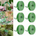 6 Roll Plant Ties for Climbers Support Tie Tape for Gardening Plants Supports Adjustable Garden Tie(1 MTR x 12 MM)