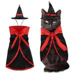 Halloween Costumes For Cats