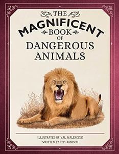 The Magnif