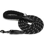 Dog Leashes