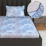 Divine Casa 144 TC 100% Cotton Everyday Use Single Fitted Bedsheet with 1 Pillow Cover Floral Blue Bedsheet for Single Bed - 198 x 90 CM